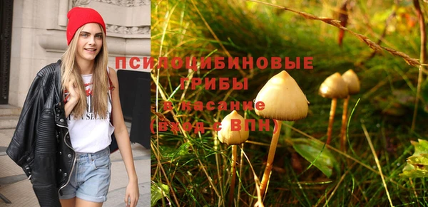 не бодяженный Нягань